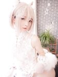 [Cosplay] YiXiaoYangZe 一小央泽 - Domestic Animals 家养小动物