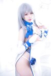 [Cosplay] Yibeibuchi 一北亦北 - Louis IX Dress 路易九世礼服