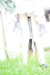 香草喵露露 - NO.009 阳光庭院制服 [50P-714MB]