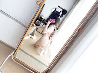 [Fantia] しずくの部屋 (しずく) （原魔物喵）-2025年3月1000日元订阅