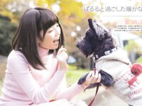 [BOMB!(ボム!)] 2013年No.01 岛崎遥香 桑原みずき
