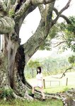 [Photobook] 菊地姫奈写真集「#memory」