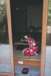 [Cosplay] Yuzuki 柚木 File Collection 2
