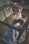 [Cosplay] Yuzuki 柚木 File Collection 2
