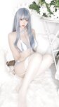 二佐Nisa - NO.091 私房自拍蓝格比基尼女仆 [40P-212MB]