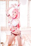 二佐Nisa - NO.027 八重樱 [13P-437MB]