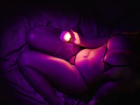 [Cosplay] yuuhui玉汇 NO.034 万圣特辑夜萤  [74P-1GB]