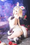 二佐Nisa - NO.062 Fate白贞危险野兽 [31P-492MB]