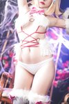 二佐Nisa - NO.062 Fate白贞危险野兽 [31P-492MB]