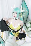 二佐Nisa - NO.026 Fate清姬 [9P-83MB]