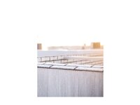 [Photobook] 青峰いろは セミヌード写真集 青色伝説