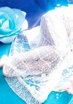 [Photobook] 2025.03.13 柏木由紀完全版写真集『Time Capsule』 (YJ PHOTO BOOK)