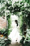 [Cosplay] Ely - Rainy Season 雨季繡球花
