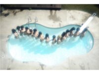 [Photobook] 週刊ポストデジタル写真集 写真家・七菜乃 女体15人プールでタード撮影会