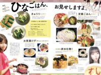 [Photobook] かげとひなた 景井ひな 1st スタイルブック
