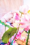 [Cosplay] Yui 金鱼 - King of Glory Xiao Qiao 王者荣耀-大小乔