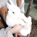 Negi Kujyo 九条ねぎ Instagram Collection (2136PICS&VIDS) (2022.03.24)