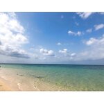 Negi Kujyo 九条ねぎ Instagram Collection (2136PICS&VIDS) (2022.03.24)