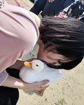 Negi Kujyo 九条ねぎ Instagram Collection (2136PICS&VIDS) (2022.03.24)