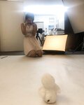 Negi Kujyo 九条ねぎ Instagram Collection (2136PICS&VIDS) (2022.03.24)