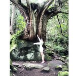 Negi Kujyo 九条ねぎ Instagram Collection (2136PICS&VIDS) (2022.03.24)