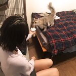 Negi Kujyo 九条ねぎ Instagram Collection (2136PICS&VIDS) (2022.03.24)