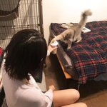 Negi Kujyo 九条ねぎ Instagram Collection (2136PICS&VIDS) (2022.03.24)