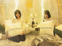 Negi Kujyo 九条ねぎ Instagram Collection (2136PICS&VIDS) (2022.03.24)