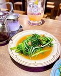 Negi Kujyo 九条ねぎ Instagram Collection (2136PICS&VIDS) (2022.03.24)