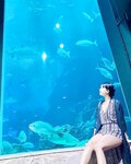 Negi Kujyo 九条ねぎ Instagram Collection (2136PICS&VIDS) (2022.03.24)