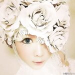 [Cosplay] 霜月shimo - NO.026 微博杂图 [1046P-384MB]