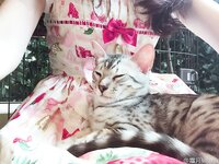 [Cosplay] 霜月shimo - NO.026 微博杂图 [1046P-384MB]