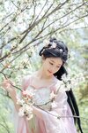[Cosplay] 年年 - 海棠仙 [84P-342.4MB]
