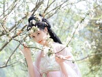 [Cosplay] 年年 - 海棠仙 [84P-342.4MB]