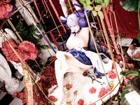 [Cosplay] 阿雪雪 - 崩坏：星穹铁道 知更鸟