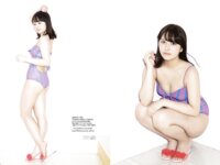 DOLCE Vol.1 桃月なしこ ver