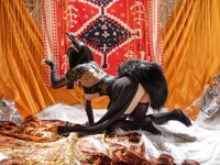 [Cosplay] Hokunaimeko北乃芽子 - Anubis Cat