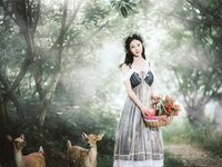 [Cosplay] 年年 - 爱丽丝仙境 [50P-218.40MB]