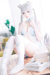 [Cosplay] 霜月shimo - NO.038 ベビードールと灰色ねこ [15P-266MB]
