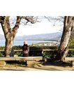[Photobook] 2025.05.15 【電子書籍限定カバー･電子限定特典付】佐々木琴子1st写真集 明け方の夢 (声グラe-books)