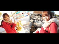 [Photobook] 美女画報 美雪ありす 美脚が色っぽい彼女