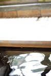 [Photobook] 奈月セナ【たまゆらA 週刊現代】