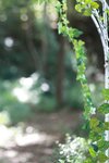 FRIDAYデジタル写真集 白川のぞみ 白蜜桃 ｖｏｌ．１