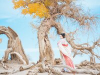 [Cosplay] 桜桃喵 – 惊鸿 [15P-375MB]