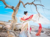 [Cosplay] 桜桃喵 – 惊鸿 [15P-375MB]