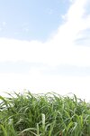 FRIDAYデジタル写真集 白川のぞみ 白蜜桃 ｖｏｌ．２