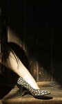 [Photobook]【デジタル限定】大葉めも写真集「Bloom Forever」 週プレ PHOTO BOOK