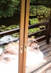 [Photobook] 奈月セナ写真集 たまゆら