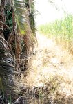 [Photobook]【電子版だけの特典カット付き】奈月セナ写真集『ｓｅｎａｉｓｍ』