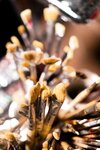 [Photobook] 週刊ポストデジタル写真集 MINAMOがアートになっちゃった！